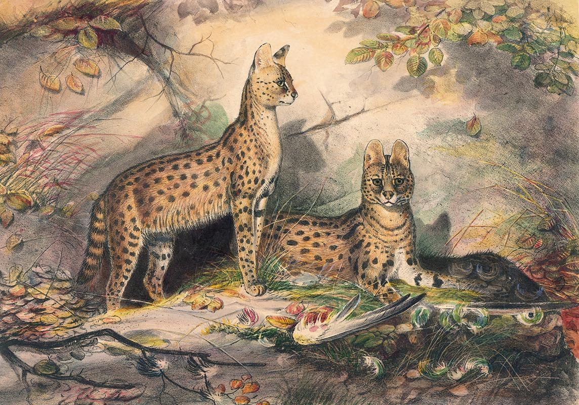 The Serval (1861-1867)